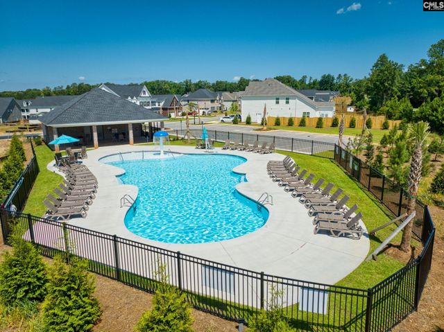 2351 Hadley Crossing, Chapin, SC 29036