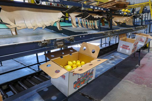 8521 Rd 256, Terra Bella, CA 93270