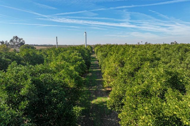 8521 Rd 256, Terra Bella, CA 93270