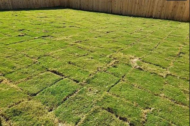 3012 shore Lark, New Braunfels, TX 78130