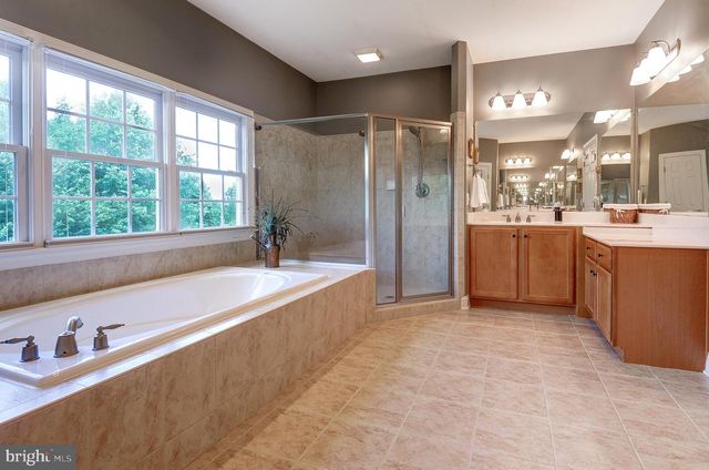 16555 CHESTNUT OVERLOOK DR, Purcellville, VA 20132