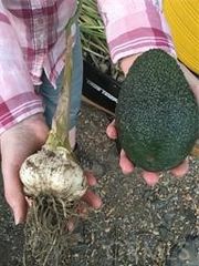 0 Via Barranca, Temecula, CA 92590