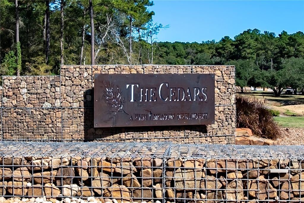 9646 Old Cedars Court, Plantersville, TX 77363 — photo 2