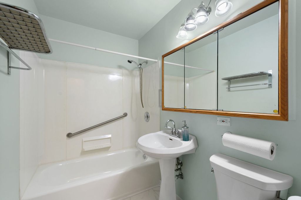 8729 S 51st Avenue, Oak Lawn, IL 60453 — photo 5
