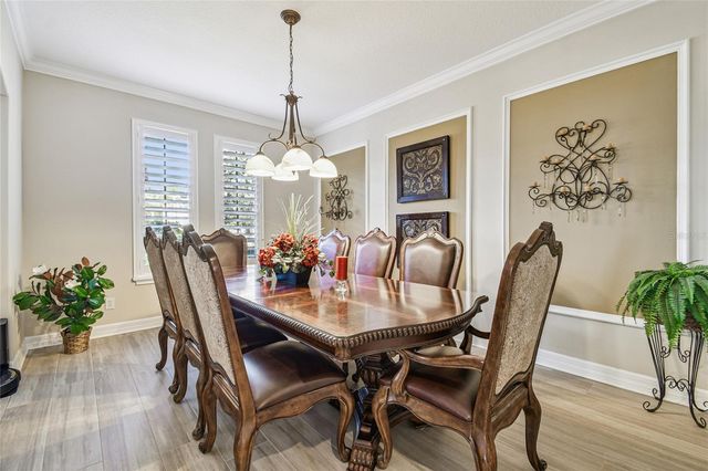 3800 IVYDALE COURT, Land O Lakes, FL 34638