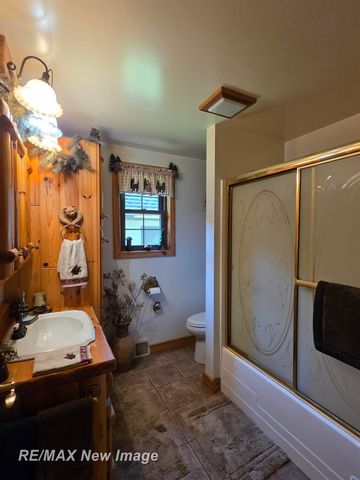 4549 Mack Lake Trail, South Branch, MI 48761