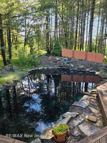 4549 Mack Lake Trail, South Branch, MI 48761