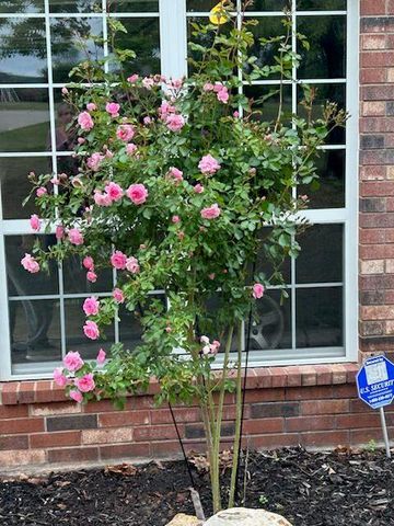 450 Hickory Hill Drive, Choctaw, OK 73020