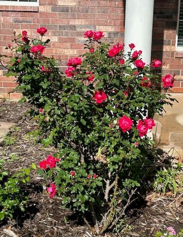 450 Hickory Hill Drive, Choctaw, OK 73020