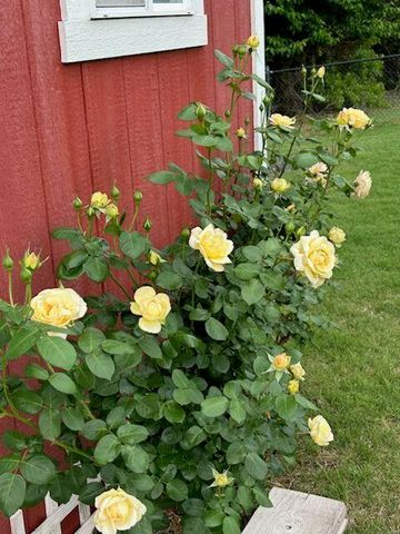 450 Hickory Hill Drive, Choctaw, OK 73020