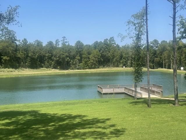 101 Longfellow Road, New Waverly, TX 77358