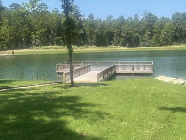 101 Longfellow Road, New Waverly, TX 77358