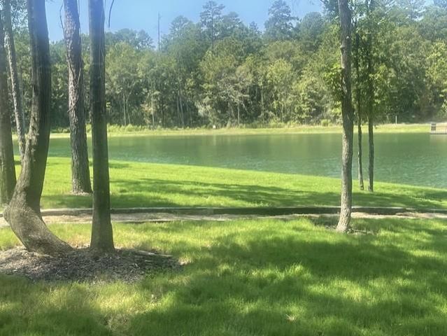 101 Longfellow Road, New Waverly, TX 77358