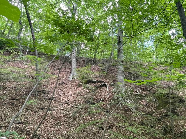 00 Anthony Road, Pickens, SC 29671