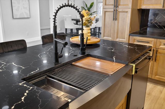 10709 DOWRY AVENUE, Tampa, FL 33615