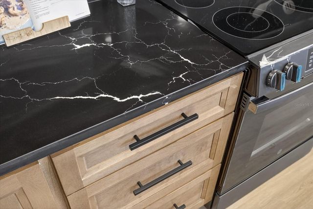 10709 DOWRY AVENUE, Tampa, FL 33615