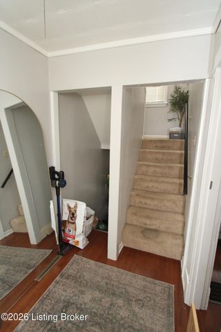 640 Ervay Ave, Louisville, KY 40217