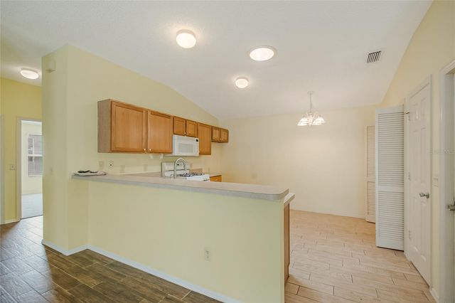 2454 SOUTHERN OAK STREET, The Villages, FL 32162