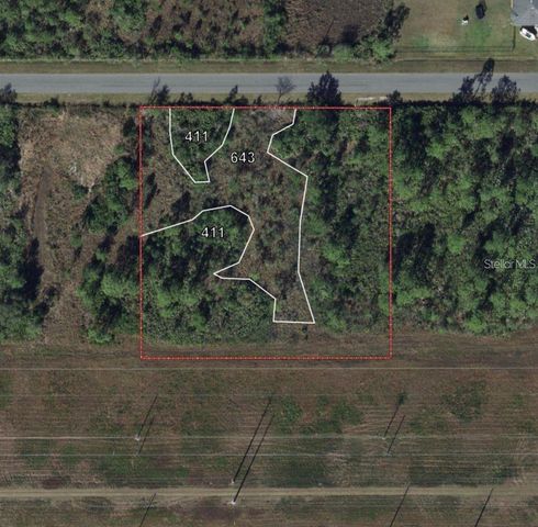 NETTLETON STREET, Orlando, FL 32833