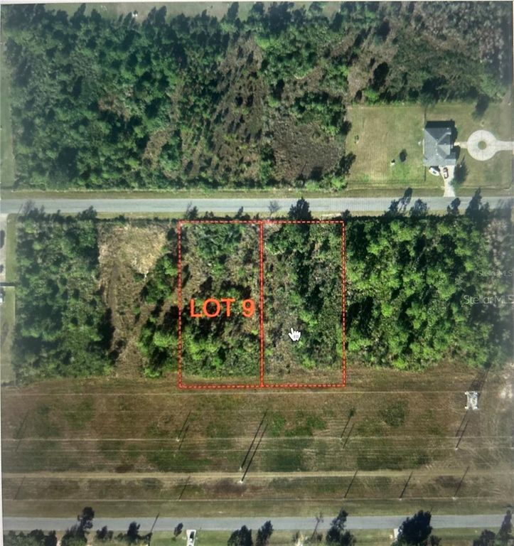 NETTLETON STREET, Orlando, FL 32833