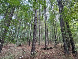 4 Prentiss Crump Road, Terry, MS 39170