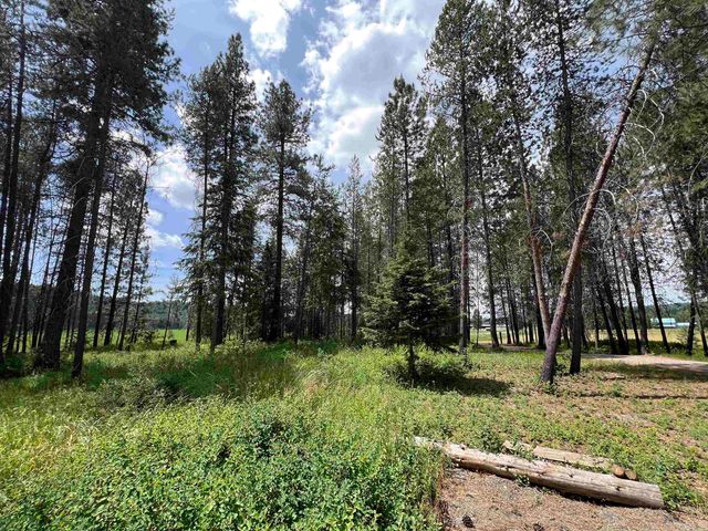 4430 D Springdale Hunters Rd, Springdale, WA 99173