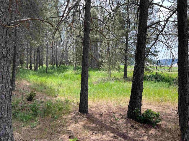 4430 D Springdale Hunters Rd, Springdale, WA 99173