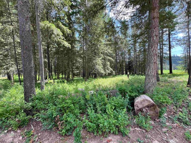 4430 D Springdale Hunters Rd, Springdale, WA 99173