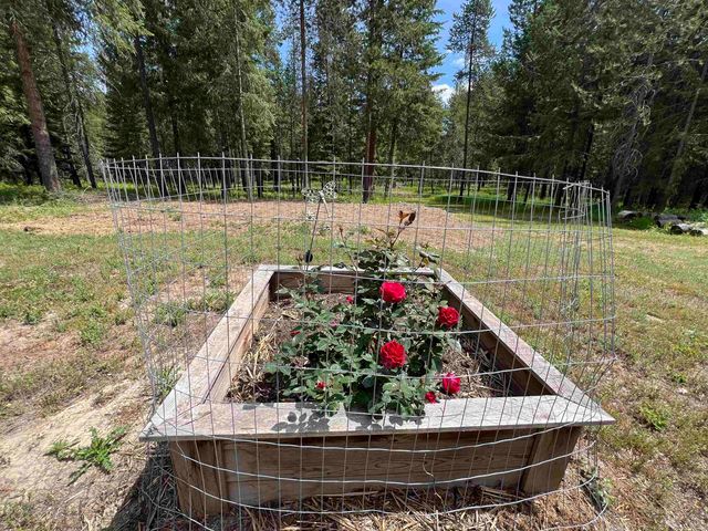 4430 D Springdale Hunters Rd, Springdale, WA 99173