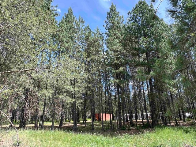 4430 D Springdale Hunters Rd, Springdale, WA 99173