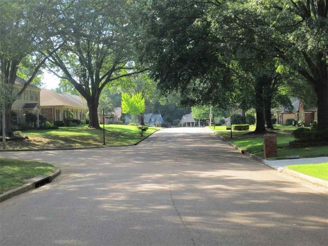 7630 BLACKBERRY FARM RD, Germantown, TN 38138