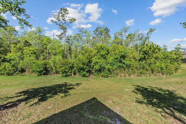 16595 SHELL BAY DRIVE, Land O Lakes, FL 34638