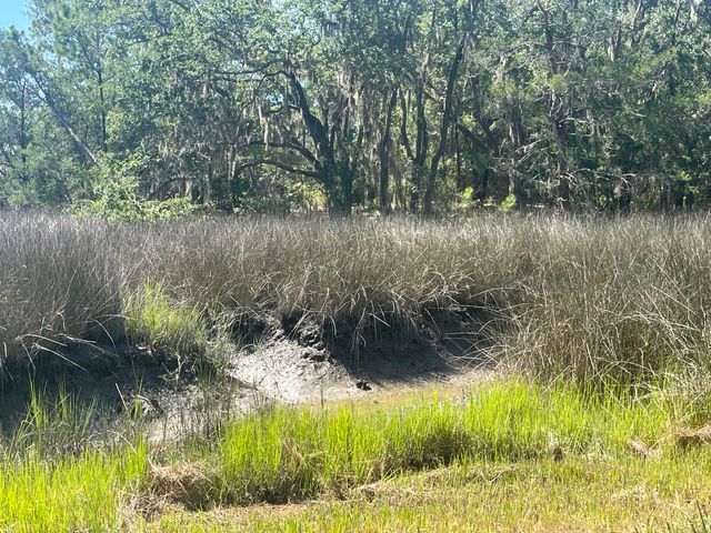 15014 Bennetts Point Road, Green Pond, SC 29446