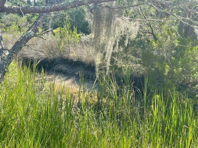 15014 Bennetts Point Road, Green Pond, SC 29446