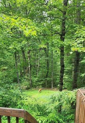 79 Pine Ridge Rd, Montgomery, MA 01085