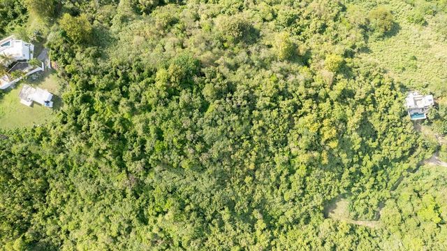 6B WINDHORSE, Vieques, PR 00765