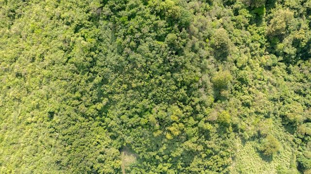 6B WINDHORSE, Vieques, PR 00765