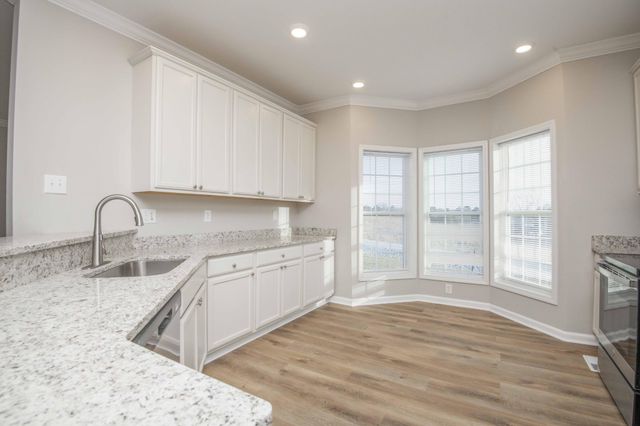 155 Waters Edge Drive, Spring City, TN 37381