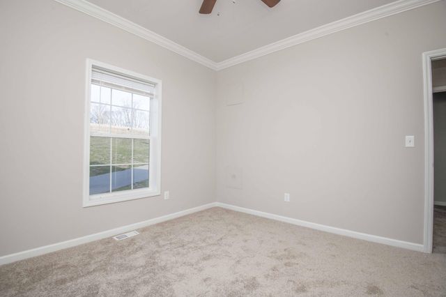 155 Waters Edge Drive, Spring City, TN 37381