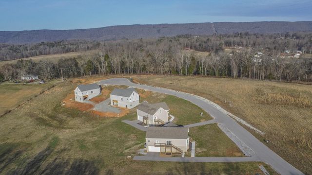 155 Waters Edge Drive, Spring City, TN 37381