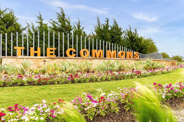 16205 Bidwell Park Drive, Prosper, TX 75078