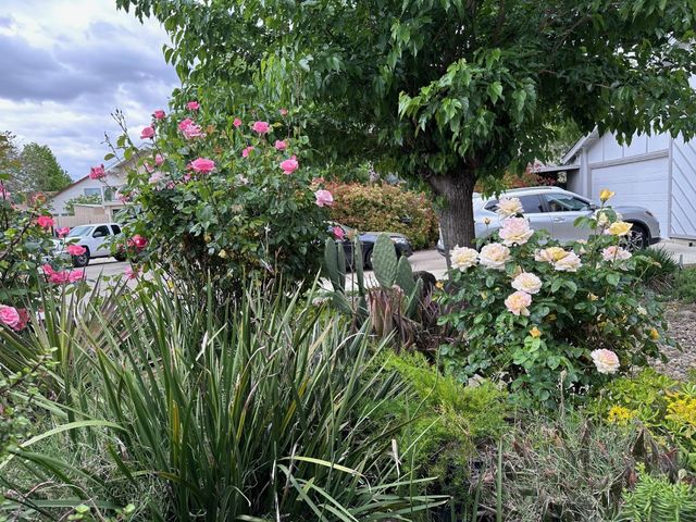 6838 Olive Tree Way, Citrus Heights, CA 95610