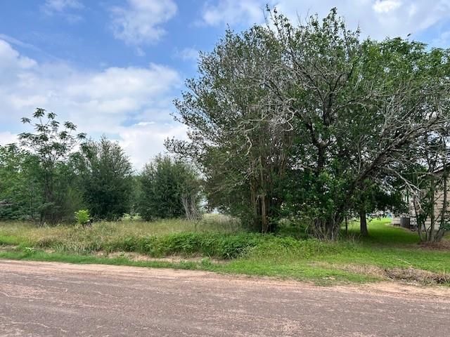 0 2nd Street, Hempstead, TX 77445
