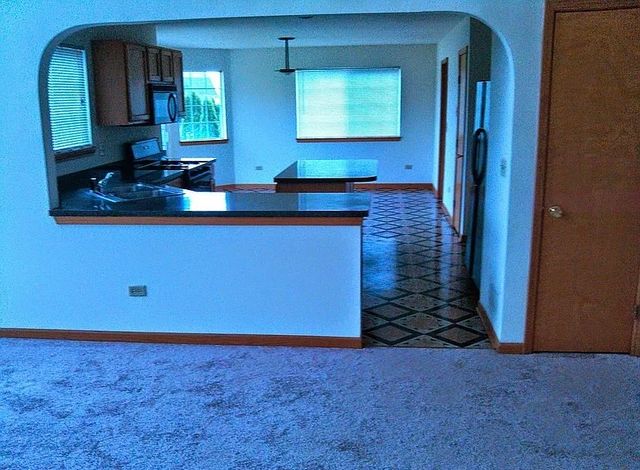 596 Farmview Court, University Park, IL 60484