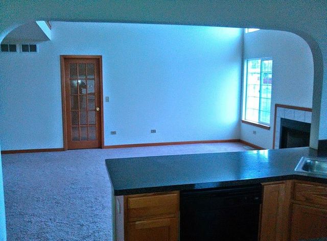 596 Farmview Court, University Park, IL 60484