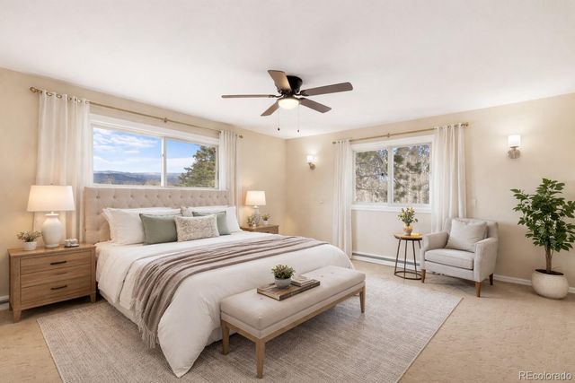 1874 Vagabond Creek Drive, Lake George, CO 80827