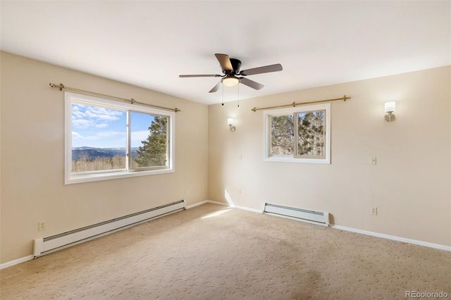 1874 Vagabond Creek Drive, Lake George, CO 80827