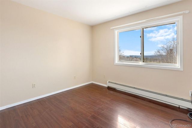 1874 Vagabond Creek Drive, Lake George, CO 80827