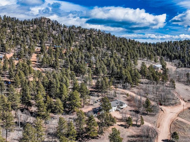 1874 Vagabond Creek Drive, Lake George, CO 80827