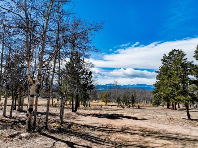 1874 Vagabond Creek Drive, Lake George, CO 80827